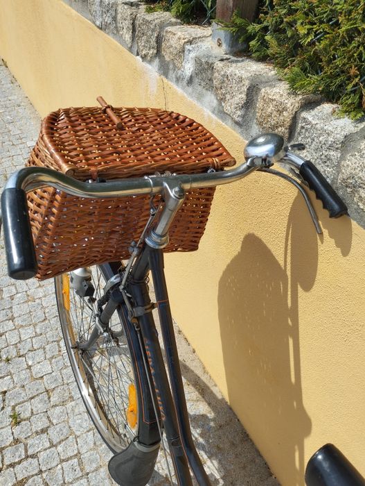 Bicicleta pasteleira Siera de Luxo