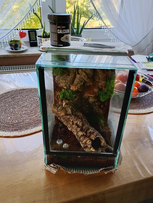Sprzedam terrarium+ zestaw