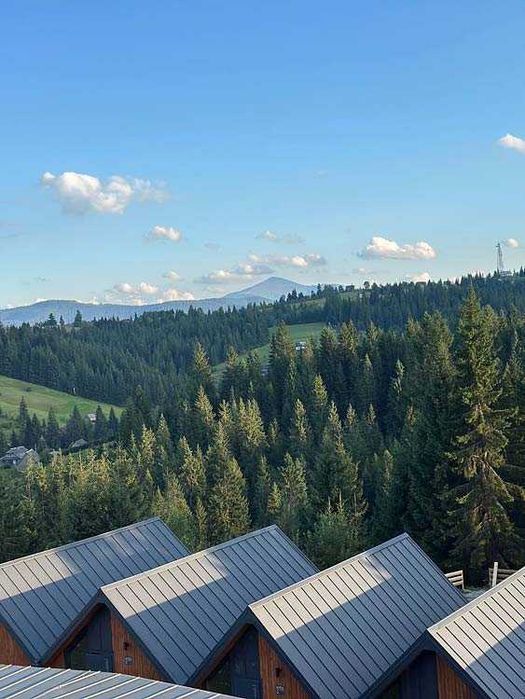 Продаю котеджне містечко в Яблуниці (Буковель). Працюючий бізнес.