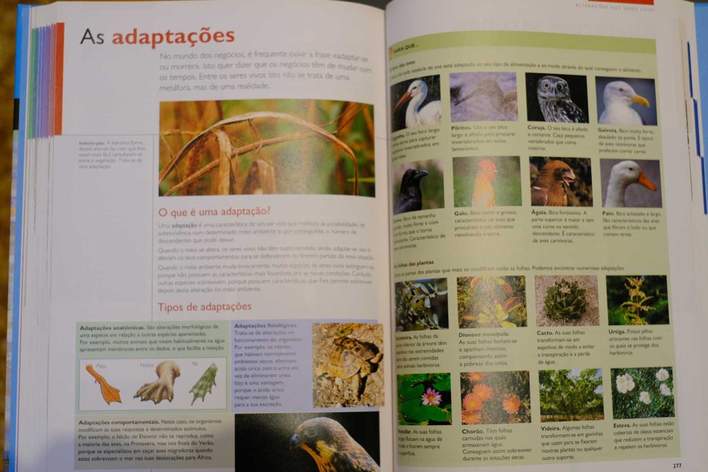 Enciclopédia do estudante