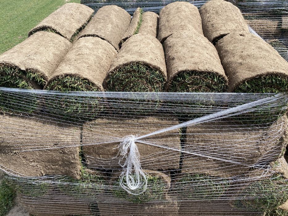 Relva natural em tapete