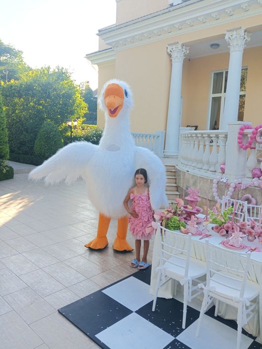 Белый Мишка, Гусь- Обнимусь, Кот Гарфилд, Зайка, Одесса, Поздравления