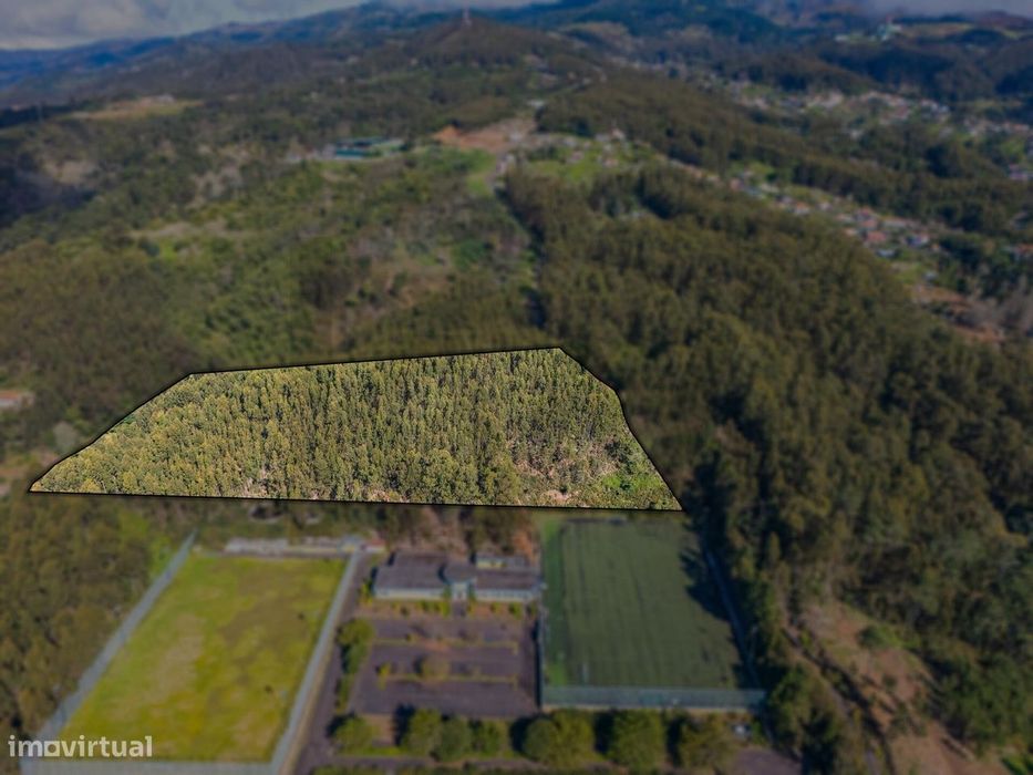Terreno na Camacha de 24.430m2