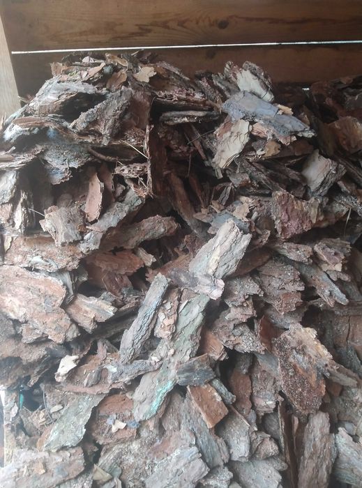 Продається кора соснова