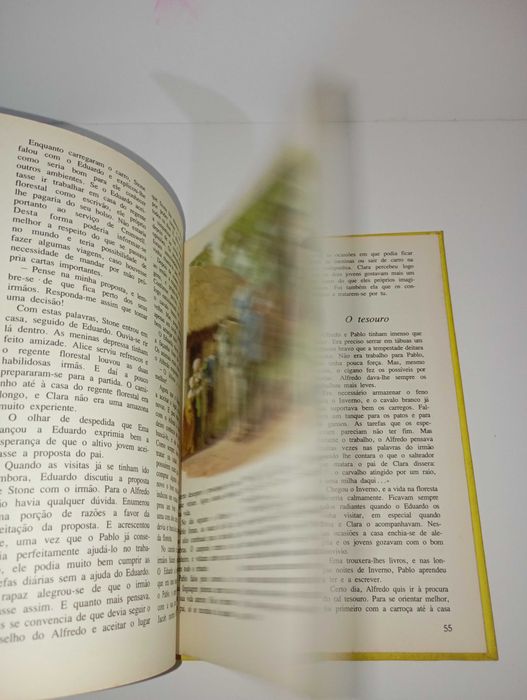 Os Rapazes da Nova Floresta - Verbo