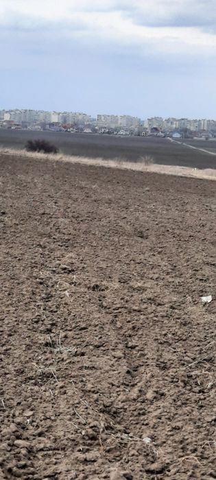 Продам земельну ділянку в селі Шкарівка