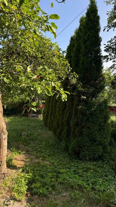 Будинок  с. Саджавка, Коломийський район