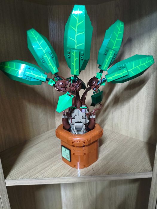 Madranke Mandrágora 76433