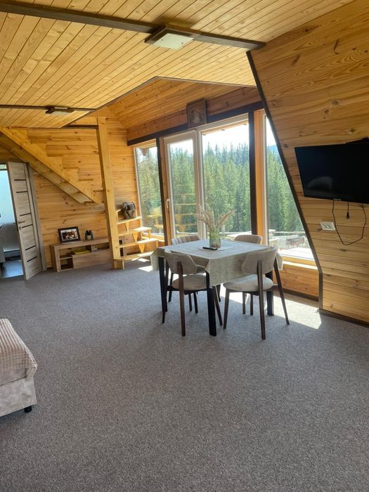 Будинок в горах. Відпочинок в Карпатах.