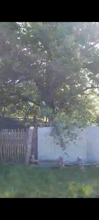 Продаж будинку в с. Розсохуватка Катеринопільського р-ну