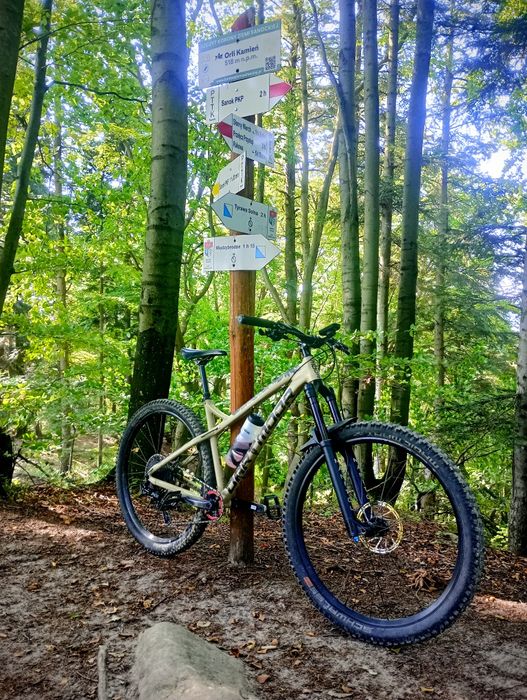 Rower Dartmoor Primal Custom Manitou Mezzer 180 Nowe koła Dartmoor 29.