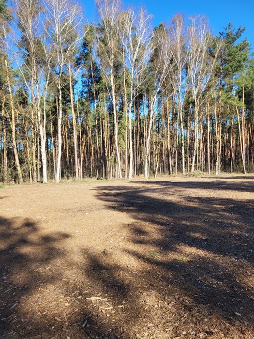 działki przy lesie PKP 2,5km 29km od Warszawy