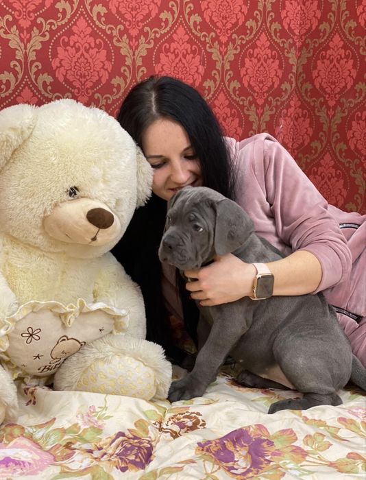 Онуки  Хамера  Київського-чемпіона цілого світу