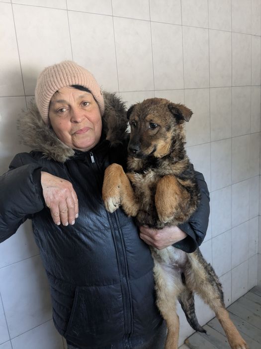 Щеня Стася шукає родину