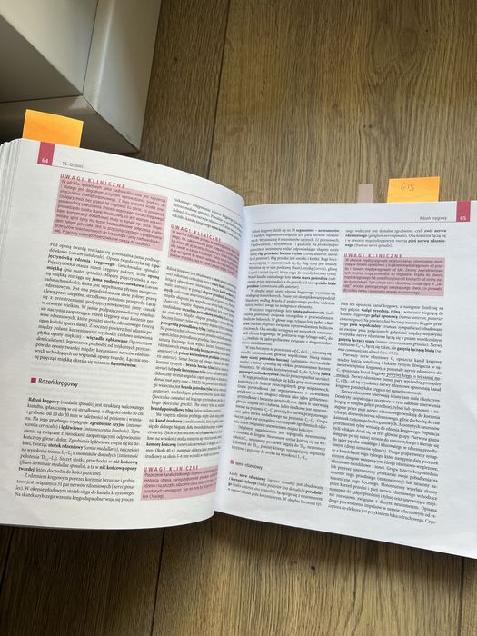 Ksiazki anatomia i hostologia zabel wozniak mcminn