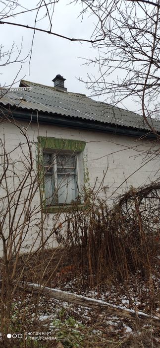 Продам добротний будинок біля річки Десна в селі Надинівка