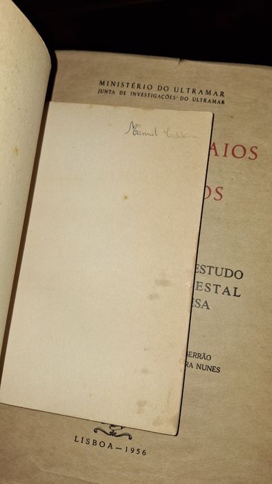 Caminhos moderna poesia Portuguesa Ana Hatherley