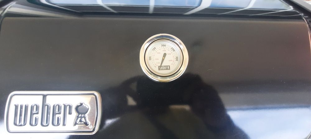 Forno de jardim a gás 2 bicos