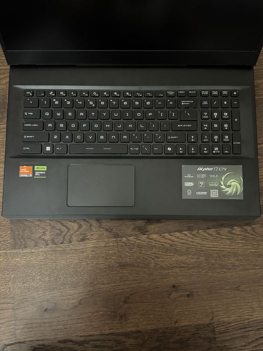 Ноутбук Alpha17 (C7VG-035XPL)