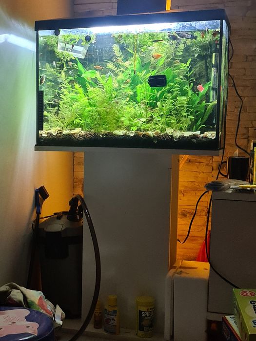 Akwarium 72 litry oświetlenie pokrywa I szafka