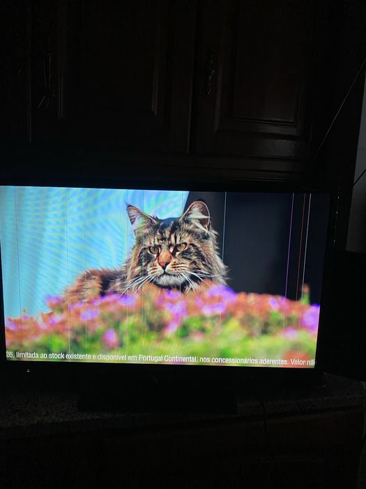 TV 32"Crown Japan” com riscas no ecrã