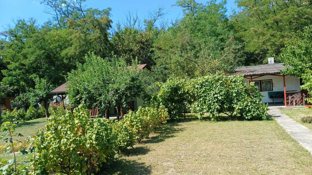 Sprzedam działkę ROD - Widok 4