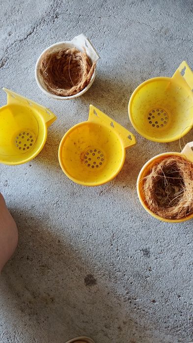 Ninhos de cesto para criação de pássaros
