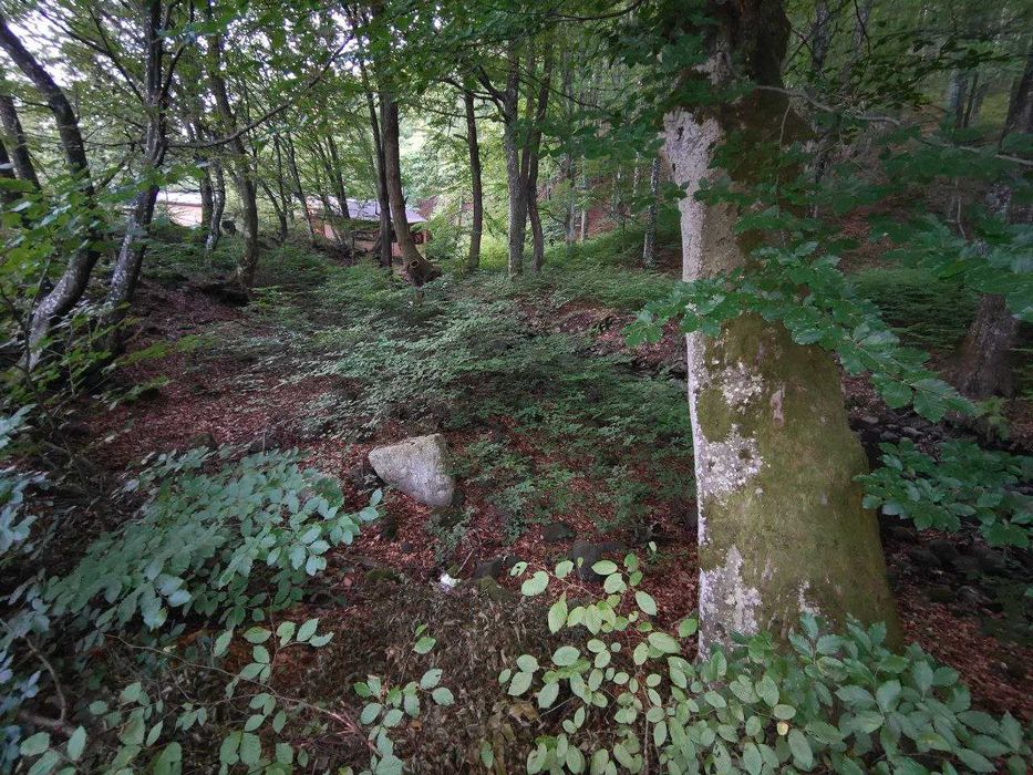 Продається ділянка в с.Вільховиця (Чинаді́йово) Чинадієво