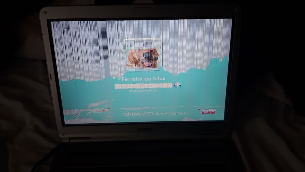 Sony Vaio VGN-NR31Z/S (funciona, excepto placa gráfica)