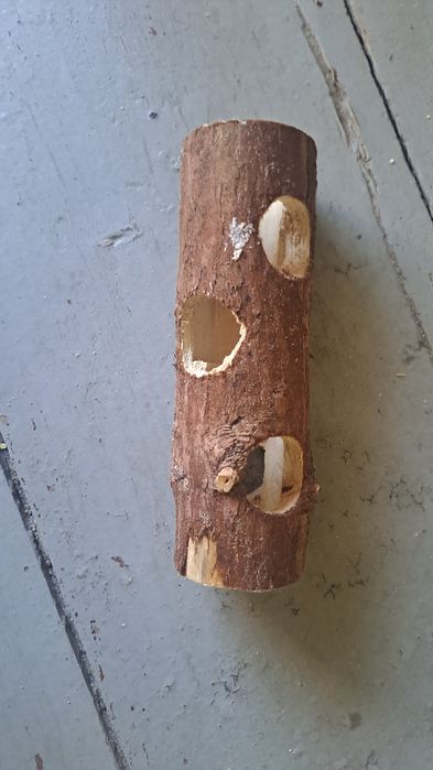 Akwarium, Terrarium dla gryzonia z wyposażeniem