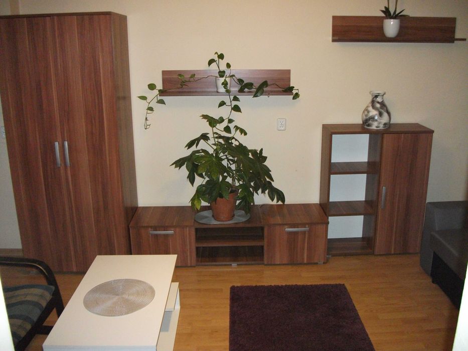 Mieszkanie na parterze z balkonem. 1300zł z ogrzewaniem. Brak odstępnego.