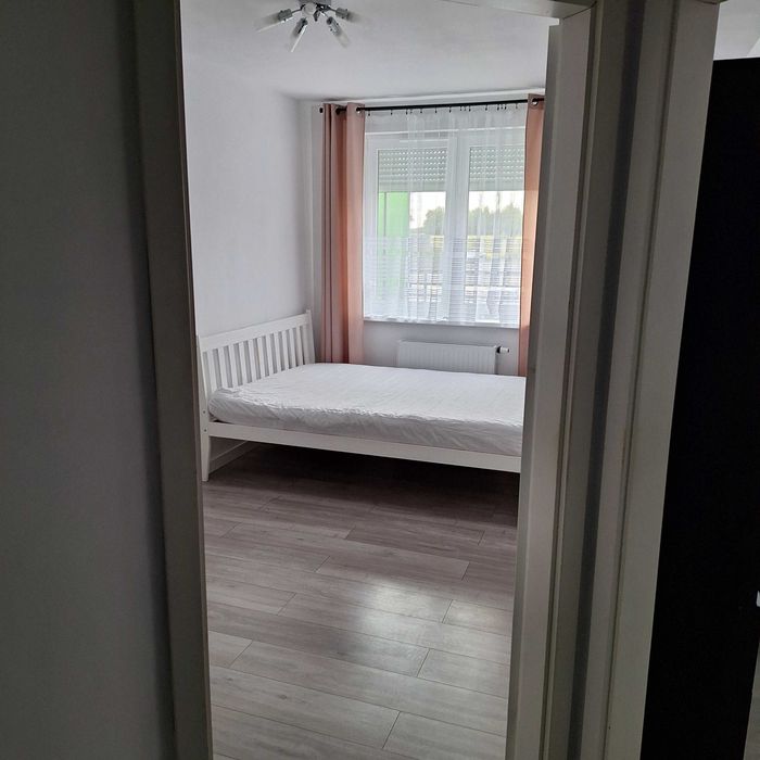 Zdjęcie 8