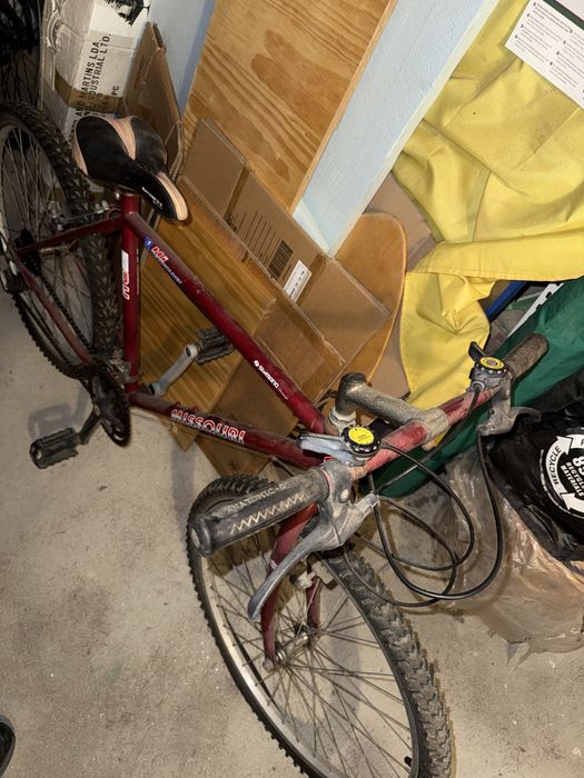 Bicicleta missouri BH Vintage
