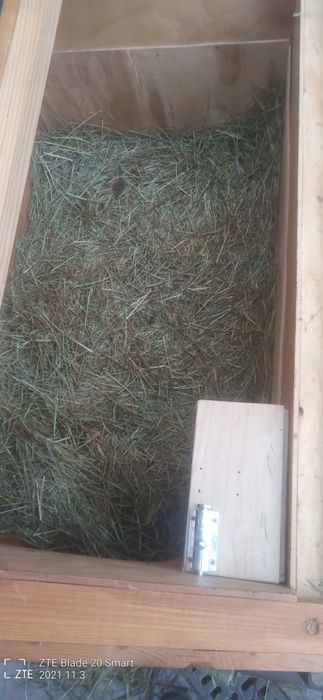 Будка для собаки