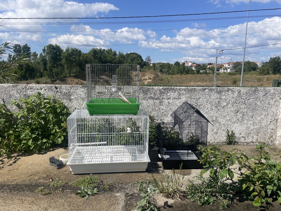 Gaiolas para pássaros
