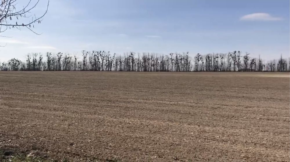 Земля участок 60 га Кагарлык