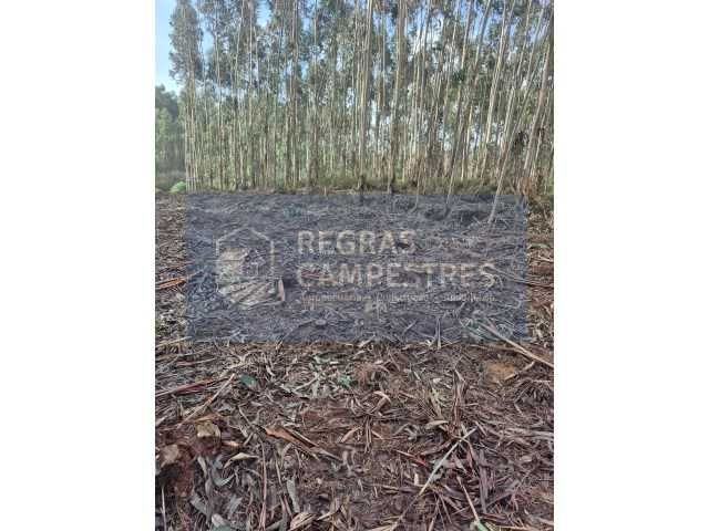 TERRENO RÚSTICO C/ VIABILIDADE DE CONSTRUÇÃO INDUSTRIAL BARRÔ - ÁGUEDA