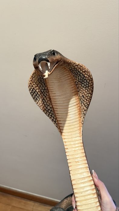 Estátua King Cobra The Leonardo Collection (2004)