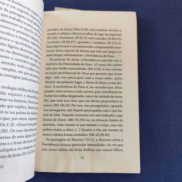 José Tolentino Mendonça - O Tesouro Escondido