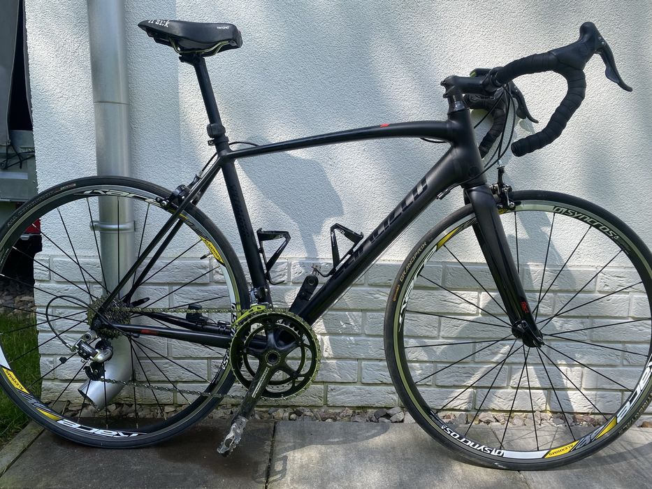 Specialized Allez Campagnolo 56cm. Rower szosowy