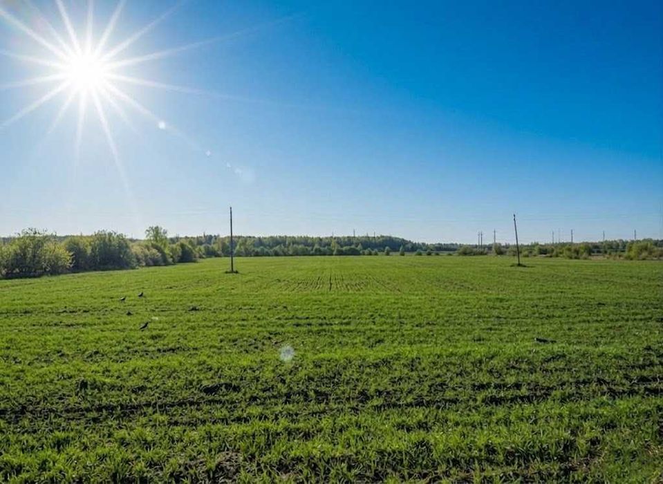 Продаж земельної ділянки 10 соток - ОСГ. Біля лісу. с.Оліївка. ID:747