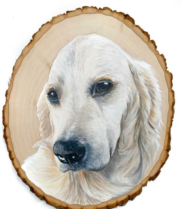 Retratos Personalizados pintados a mao, eternizamos seu pet ,