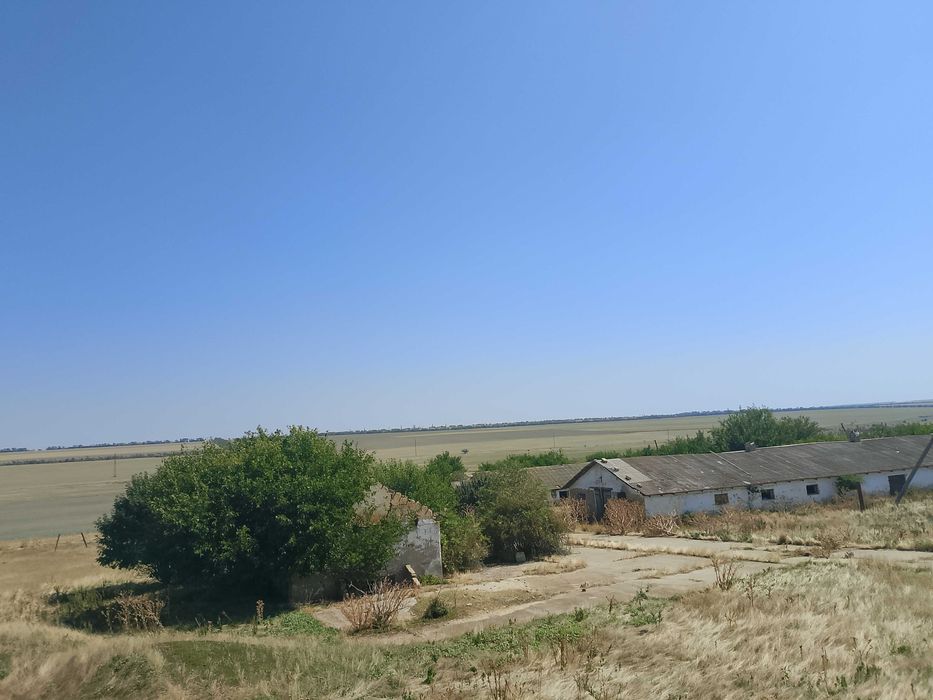 С/Х ферма(Свиноферма)