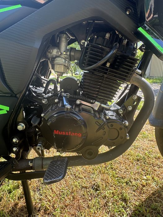 Musstang region 250