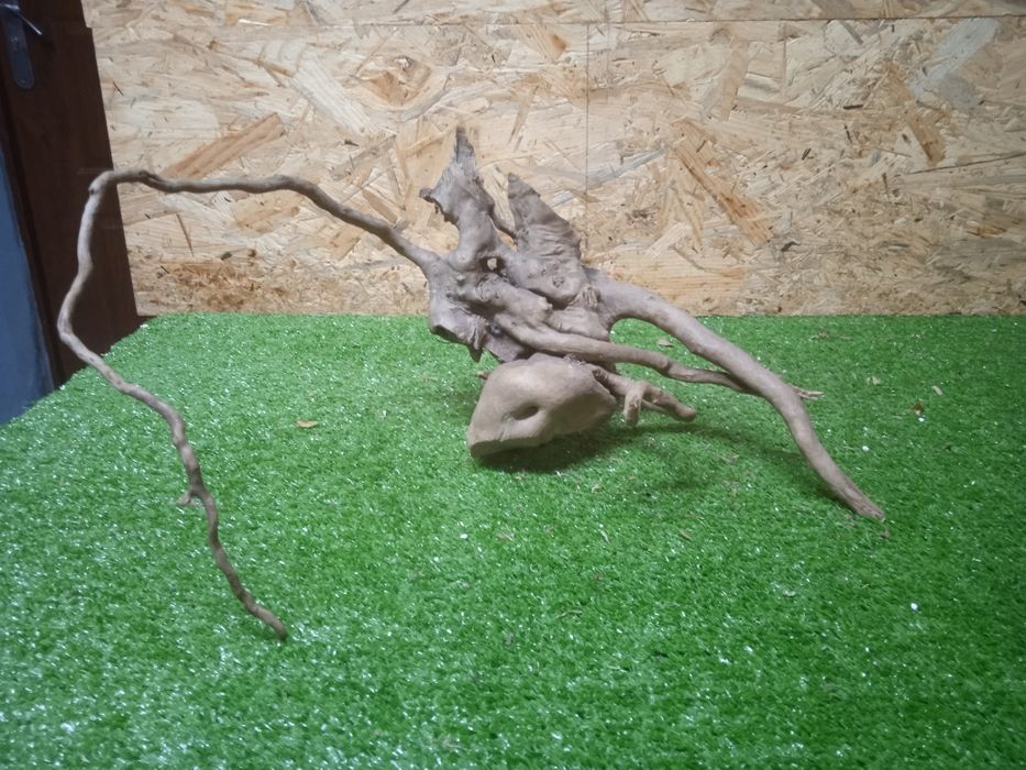 Korzeń do akwarium Red Moore Wood nr 498 o wymiarach 41/15/29