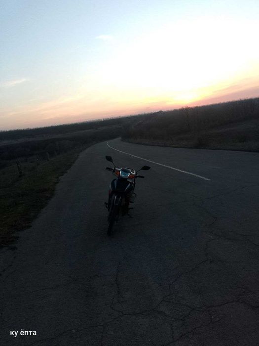 Mustang Active mt 1100
