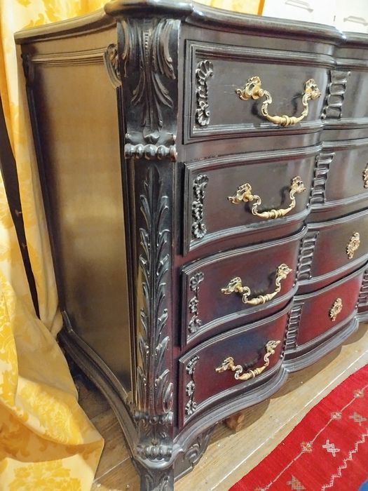 Cómoda D. José. Belíssima