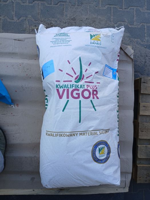 Pszenica do siewu  Goplana kwalifikat 50kg