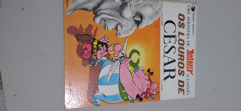 Livros do Astérix, Gaston, Tintim (capa dura 6€ e outros 4€)