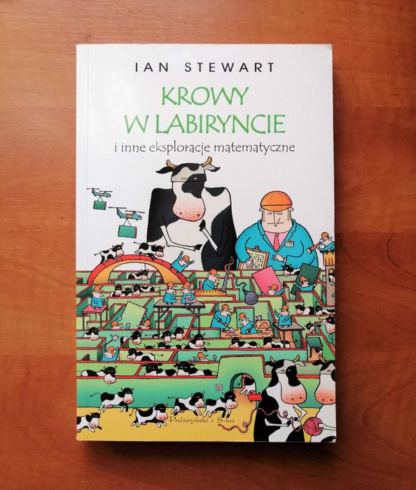 Książka „Krowy w labiryncie i inne eksploracje matematyczne”, stan bdb